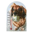 Термометр Собака на акриловой липучке 1-2 - Фото 1