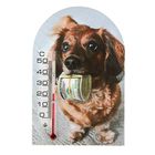 Термометр Собака на магните 1-2 - Фото 1