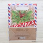 Пакет подарочный «Посылка от Деда Мороза», 18 × 23 × 10 см - Фото 4