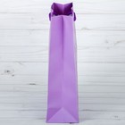 Пакет ламинированный вертикальный «Поздравляю!», MS 18 × 23 × 8 см - Фото 2