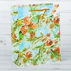 Пакет ламинированный вертикальный «Лесная сказка», 11 × 14 × 5 см - Фото 1