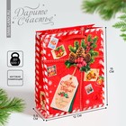Пакет ламинированный вертикальный «Подарок от Деда Мороза», 12 х 15 х 5,5 см, Новый год - фото 318007981