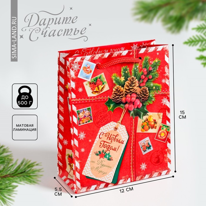 Пакет ламинированный вертикальный «Подарок от Деда Мороза», 12 х 15 х 5,5 см - Фото 1
