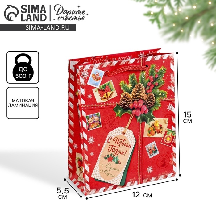 Пакет подарочный новогодний ламинированный «Подарок от Деда Мороза», 12 х 15 х 5.5 см - Фото 1