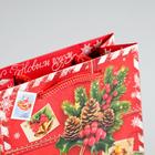 Пакет ламинированный вертикальный «Подарок от Деда Мороза», 12 х 15 х 5,5 см - Фото 3