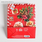 Пакет подарочный новогодний ламинированный «Подарок от Деда Мороза», 12 х 15 х 5.5 см - Фото 5