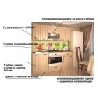 Кухонный гарнитур «Премьера 7 а», 1800×1570 мм, цвет грецкий орех/берёза - Фото 2