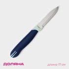 Нож для овощей кухонный Доляна «Страйп», лезвие 7,5 см, цвет синий - Фото 1