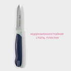 Нож для овощей кухонный Доляна «Страйп», лезвие 7.5 см, синий - Фото 2