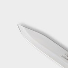 Нож для овощей кухонный Доляна «Страйп», лезвие 7,5 см, цвет синий - Фото 3