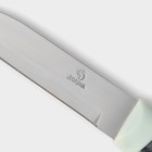 Нож для овощей кухонный Доляна «Страйп», лезвие 7,5 см, цвет синий - фото 4577686