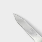 Нож для овощей кухонный Доляна «Страйп», зубчатое лезвие 7,5 см, цвет синий - Фото 3