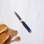 Нож для овощей кухонный Доляна «Страйп», зубчатое лезвие 7,5 см, цвет синий - фото 4577693