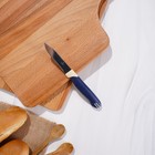 Нож для овощей кухонный Доляна «Страйп», зубчатое лезвие 7,5 см, цвет синий - фото 4577694