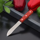 Нож для мяса и стейков Доляна «Мачете», лезвие 10 см - Фото 2
