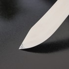 Нож для мяса и стейков Доляна «Мачете», лезвие 10 см - фото 4577698