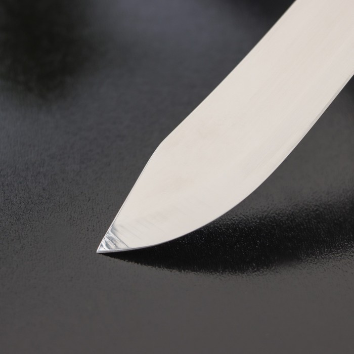 Нож для мяса и стейков Доляна «Мачете», лезвие 10 см - фото 1890700419
