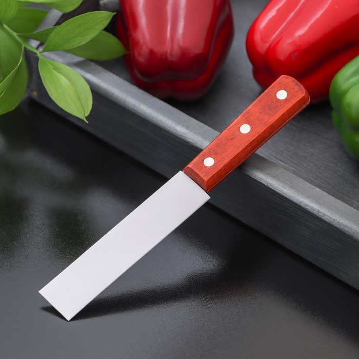 Нож для мяса и стейков Доляна «Мачете», лезвие 10 см - фото 1890700421