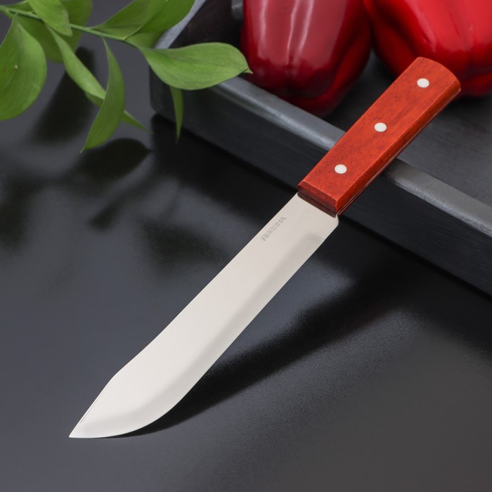 Нож для мяса и стейков Доляна «Мачете», лезвие 17,5 см - фото 1908330299