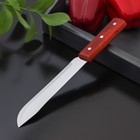 Нож для мяса и стейков Доляна «Мачете», лезвие 17,5 см - Фото 2