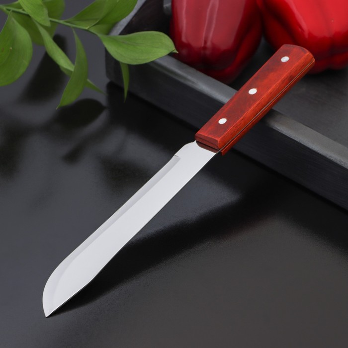Нож для мяса и стейков Доляна «Мачете», лезвие 17,5 см - фото 1908330300