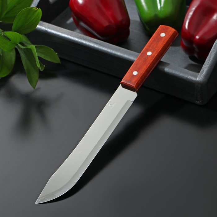 Нож для мяса и стейков Доляна «Мачете», лезвие 20 см - Фото 1