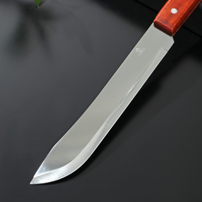 Нож для мяса и стейков Доляна «Мачете», лезвие 20 см - фото 1908330306