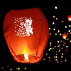 Фонарик желаний «Пусть сбываются мечты!», купол, МИКС - Фото 2