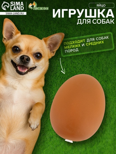 Игрушка для собак «Яйцо», 5.5 см, пищащая, винил