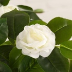 Куст искусственный «Роза кустовая», с горшком, h=120 см, МИКС - Фото 10