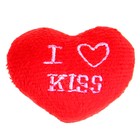 Мягкая игрушка-магнит "Сердечко" I Kiss, цвета МИКС - Фото 3