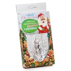 Набор для приготовления леденцов и мармелада «Дед Мороз», цвет МИКС - Фото 11