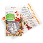 Набор для приготовления леденцов и мармелада «Снегурочка», цвет МИКС - Фото 11