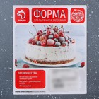 Противень Доляна «Элин Мрамор. Прямоугольник», 38,5×24×5,5 см, антипригарное покрытие, цвет серый - Фото 4