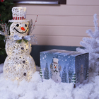 Фигура акрил. "Снеговик белый" 48х25х82 см, 50 LED, 220V, Т/БЕЛЫЙ - Фото 4