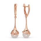 Серьги «Элегантность жемчуга», розовое золочение, цвет белый - Фото 1