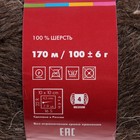 Пряжа "Деревенька" 100% шерсть 170м/100гр (2454/ 2459, натуральный тёмный) - Фото 3