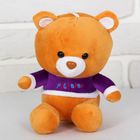 Мягкая игрушка "Медведь в кофте", МИКС - Фото 1