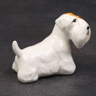 Статуэтка фарфоровая "Силихем терьер ухо стоит", 5 см, авторская роспись - фото 23772155