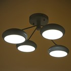 Люстра светодиодная P1036/4 "Будущее" LED 4x8W 24х53х66 см - Фото 3