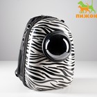 Рюкзак для переноски кошек и собак «Зебра», с окном, 32×25×42 см - Фото 2