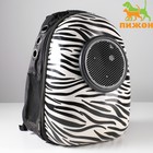 Рюкзак для переноски кошек и собак «Зебра», с окном, 32×25×42 см - Фото 7