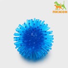 Шарик для кошек игольчатый, мягкий, 5 см, микс цветов (фасовка 5 шт.), микс цветов - Фото 1