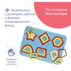 Рамка-вкладыш М. Монтессори «Паутинка 2» МИКС 2688565 - фото 22620065