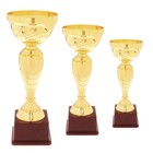 Кубок 120А, наградная фигура, золото, подставка пластик, 37 × 14 × 11,5 см - фото 8589180