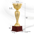 Кубок 120С, наградная фигура, золото, подставка пластик, 29.5×10×9.5 см - Фото 2