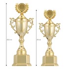 Кубок 122C, наградная фигура, золото, подставка пластик, 33,5 × 14 × 9 см - Фото 1