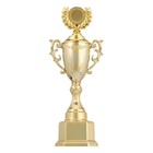 Кубок 122C, наградная фигура, золото, подставка пластик, 34 × 13 × 9 см. - фото 11627702