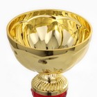 Кубок 131A, наградная фигура, золото, подставка камень, 28 × 9,5 × 9,5 см. - фото 10008290