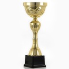 Кубок 134B, наградная фигура, золото, подставка пластик, 31,3 х 11,8 х 9,2 см. - фото 11627784